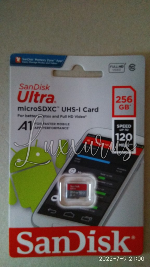 256GB Micro SD Card